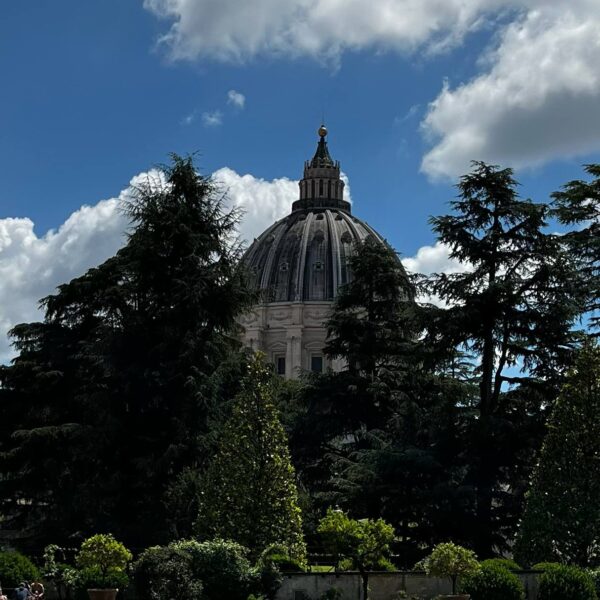 ce484eb5-5063-4b73-a732-576e201418b5